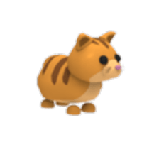 pet