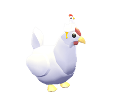 pet