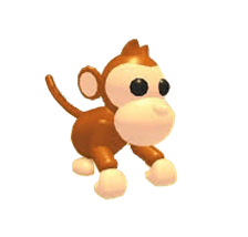 pet