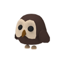 pet