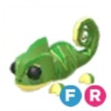 pet