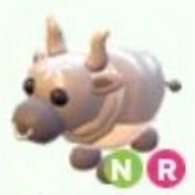 pet